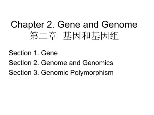 分子生物学第2章 基因和基因组