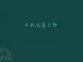 【精品】公共政策分析PPT课件