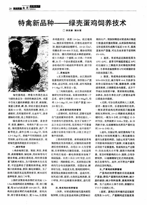 特禽新品种——绿壳蛋鸡饲养技术