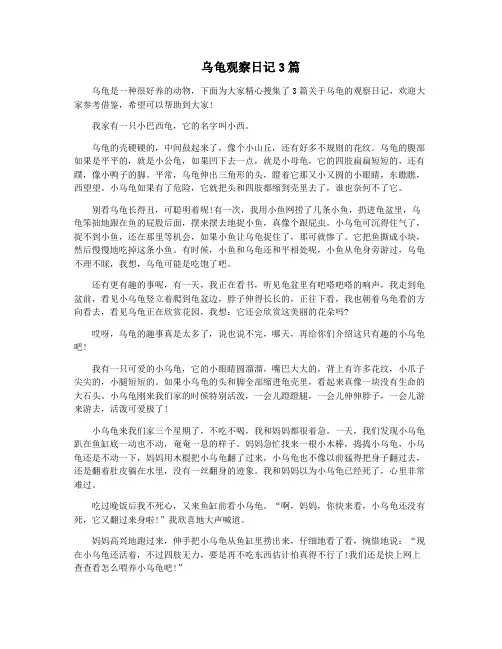 乌龟观察日记3篇