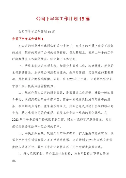 公司下半年工作计划15篇