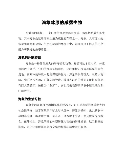 海象冰原的威猛生物