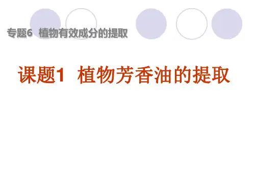 人教版选修1 植物芳香油的提取 课件(28张)