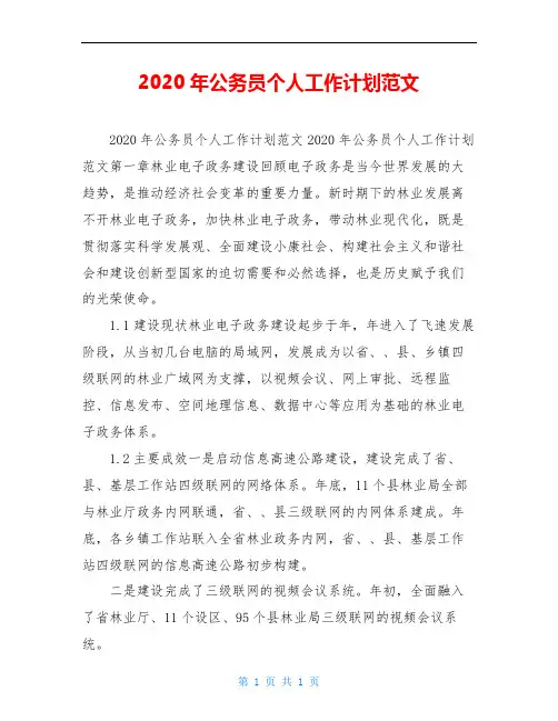 2020年公务员个人工作计划范文