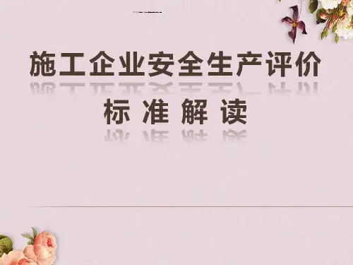 施工企业安全生产评价标准解读(ppt 166页)