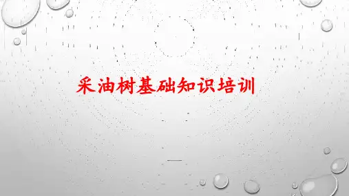 采油树基础知识培训