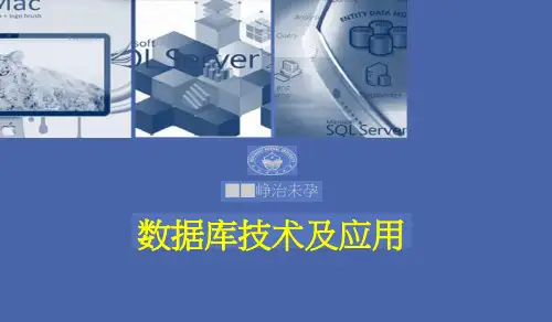 逻辑结构设计