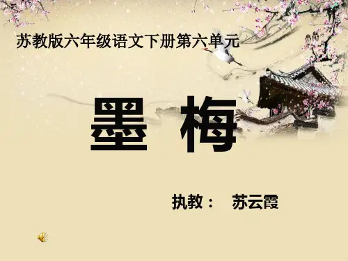 苏教版墨梅
