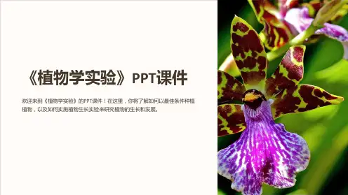 《植物学实验》课件