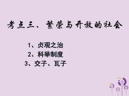 江苏省2018届中考历史复习第13课时中国古代史考点三课件