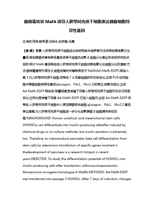 腺病毒转染MafA诱导人脐带间充质干细胞表达胰腺细胞特异性基因
