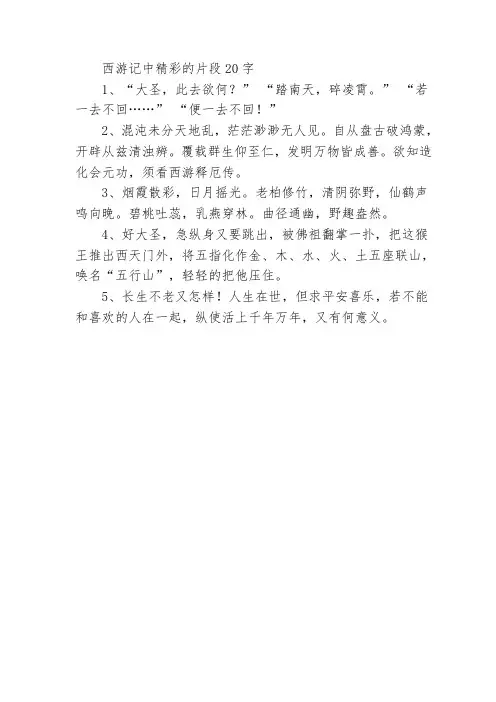 西游记中精彩的片段20字
