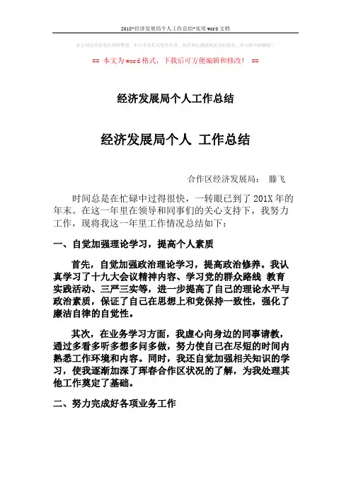 2018-经济发展局个人工作总结-实用word文档 (2页)