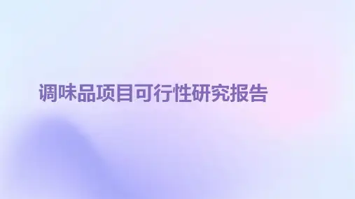 调味品项目可行性研究报告