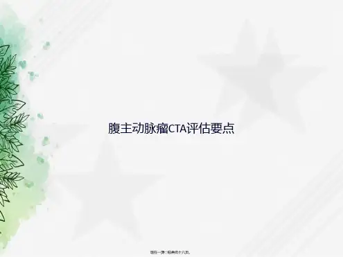 腹主动脉瘤CTA评估要点讲课文档