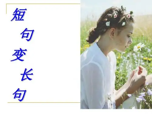 短句变长句