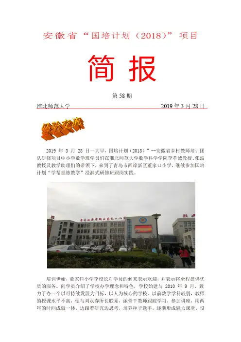安徽省国培计划(2018)项目简报