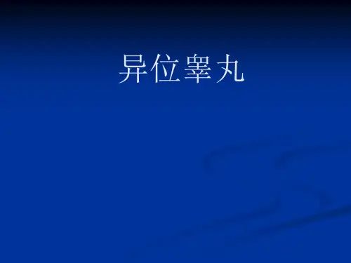 异位睾丸