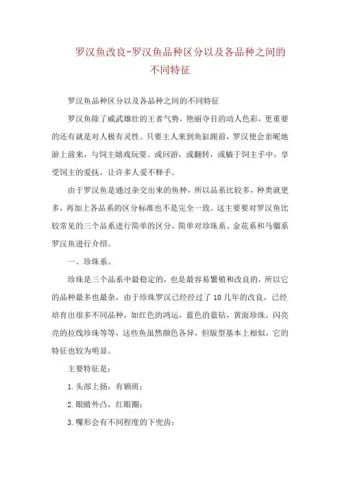 罗汉鱼改良-罗汉鱼品种区分以及各品种之间的不同特征