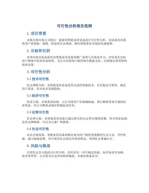 可行性分析报告范例