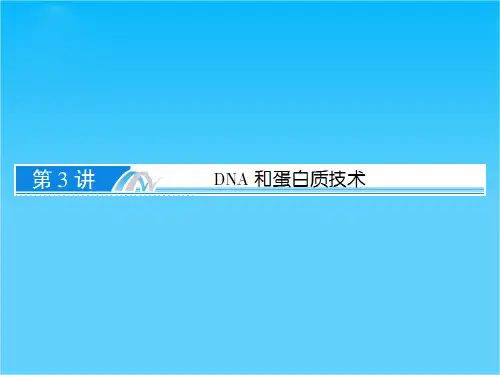 高考生物专题复习课件选修1-3