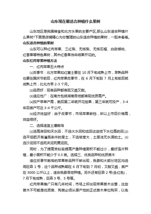 山东现在最适合种植什么果树