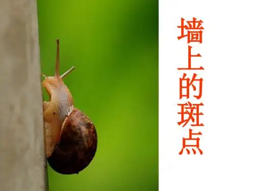 高二语文墙上的斑点2