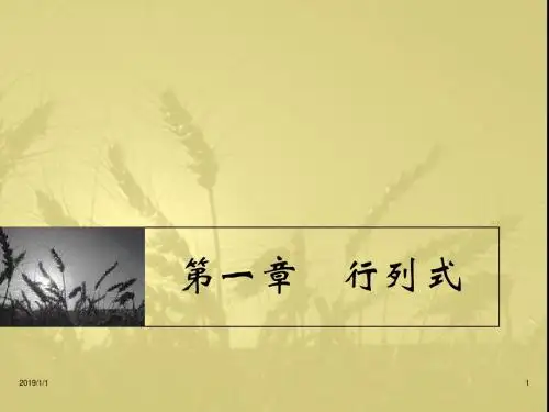 第一章 行列式讲义.