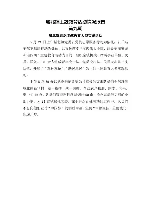 中国梦主题教育活动简报第9期