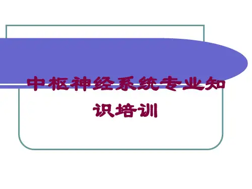 中枢神经系统专业知识培训培训课件