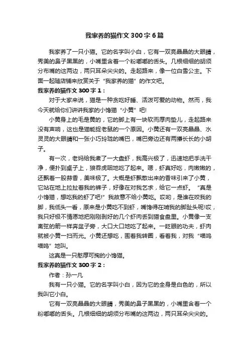我家养的猫作文300字6篇