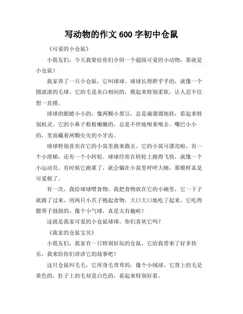 写动物的作文600字初中仓鼠
