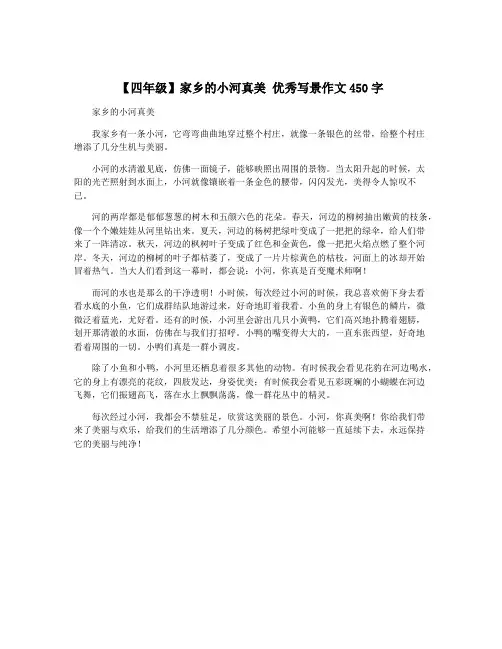 【四年级】家乡的小河真美 优秀写景作文450字