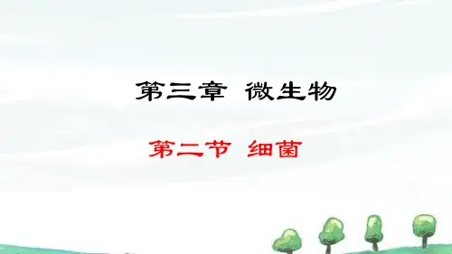 2024年秋季学期新人教版生物七年级上册课件 第三章 微生物 2.3.2 细菌