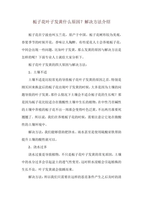 栀子花叶子发黄什么原因？解决方法介绍