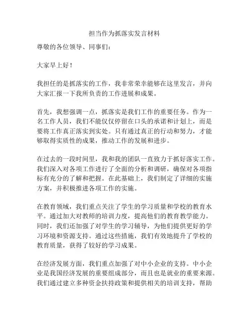 担当作为抓落实发言材料