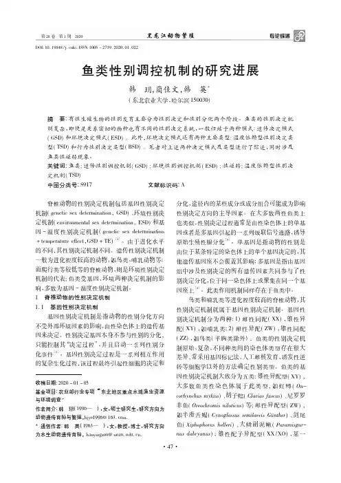 鱼类性别调控机制的研究进展
