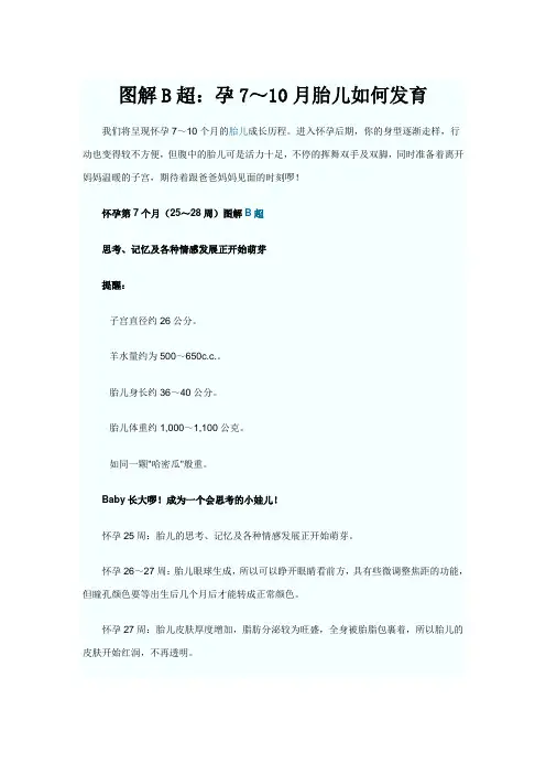 图解B超 孕7～10月胎儿如何发育