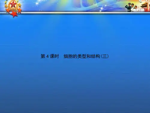 高中生物第3单元细胞的结构和功能第4课时细胞的类型和结构三复习课件苏教版必修27.ppt