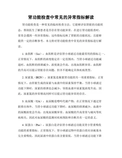 肾功能检查中常见的异常指标解读
