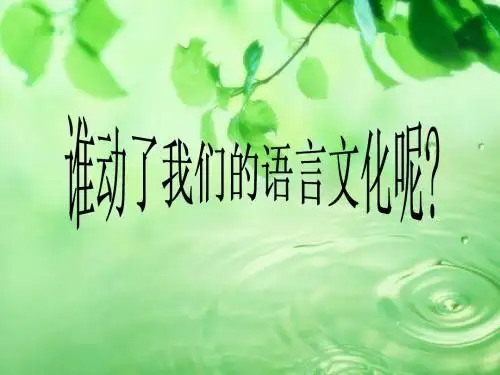 毛概演讲---文化