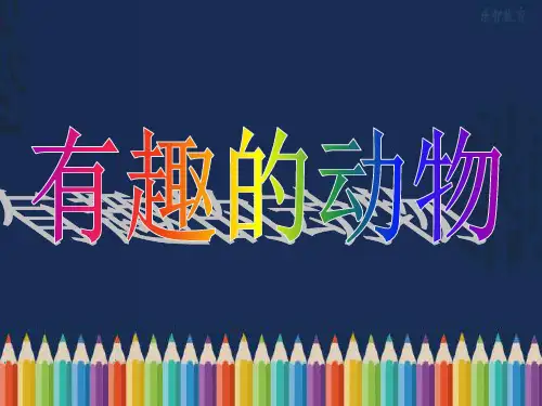 二年级语文上册《有趣的动物》教学课件人教(部编版)