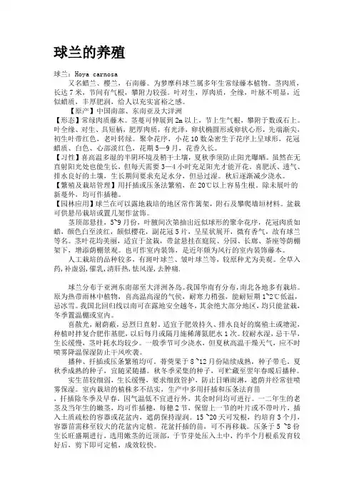 球兰