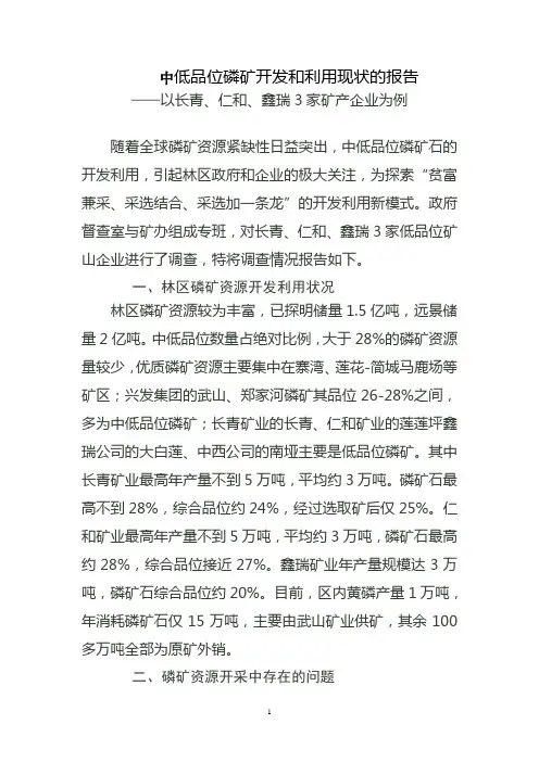 中低品位磷矿开发和利用现状的报告