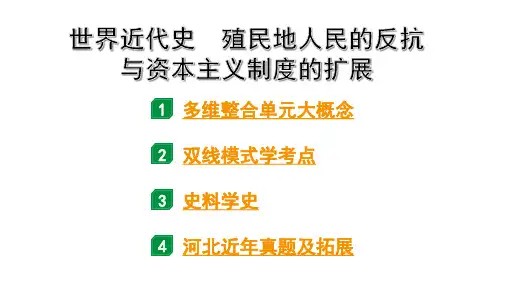 2024河北中考历史二轮中考题型研究 世界近代史 殖民地人民的反抗与资本主义制度的扩展(课件)