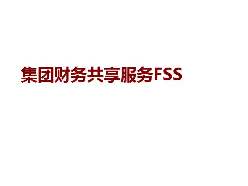 某集团财务共享服务FSS(PPT32页)