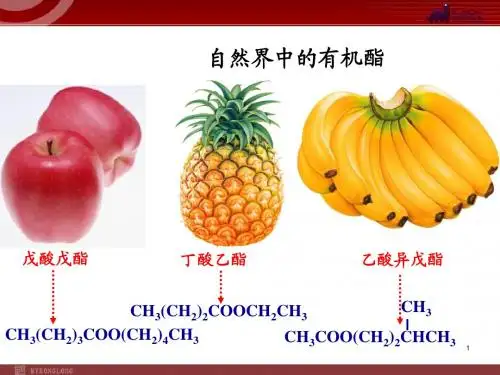 化学：3-3《 酯》课件
