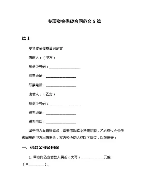 专项资金借贷合同范文5篇