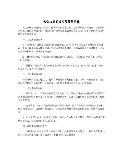 犬焦虫病的诊治及预防措施