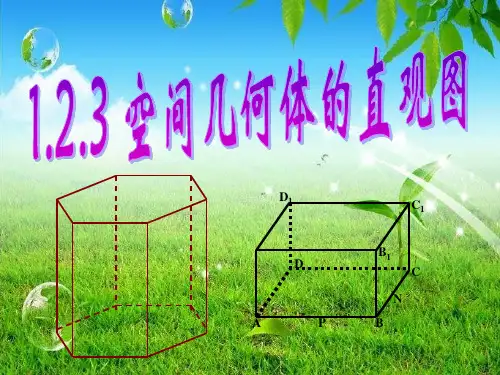 1.2.3空间几何体的直观图(斜二侧画法)